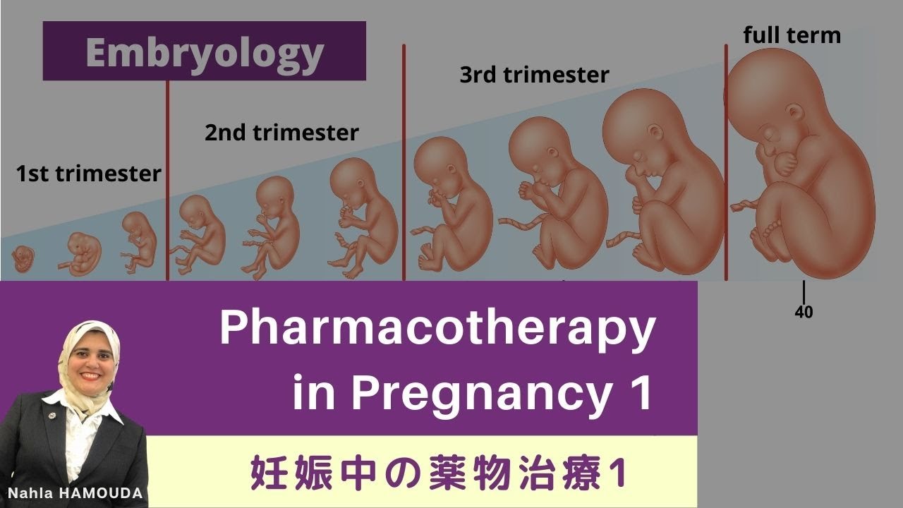 Pharmacotherapy in Pregnancy